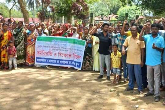 চা শ্রমিকদের দৈনিক মজুরি বাড়লো ২৫ টাকা, ধর্মঘট প্রত্যাহার