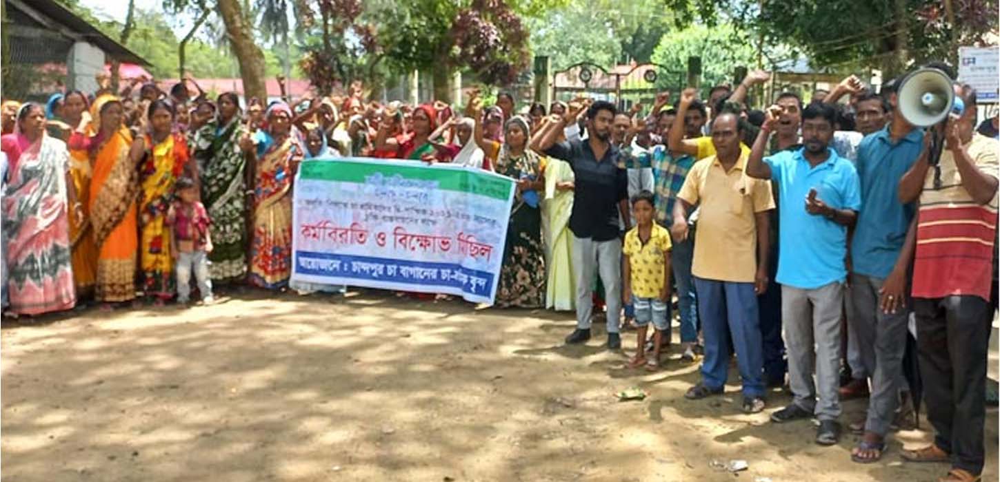 চা শ্রমিকদের দৈনিক মজুরি বাড়লো ২৫ টাকা, ধর্মঘট প্রত্যাহার