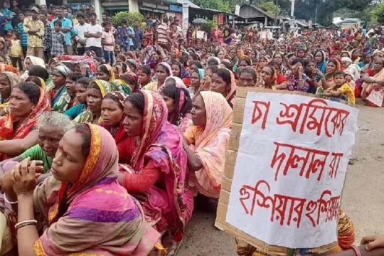 শনিবার থেকে চা শ্রমিকদের কঠোর আন্দোলনের হুঁশিয়ারি