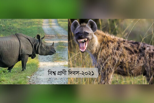 হায়েনার পথ ধরে হারিয়ে গেছে ৩১ প্রজাতির প্রাণী