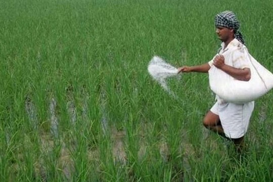 ইউরিয়া সারের দাম কেজিতে বেড়েছে ৬ টাকা