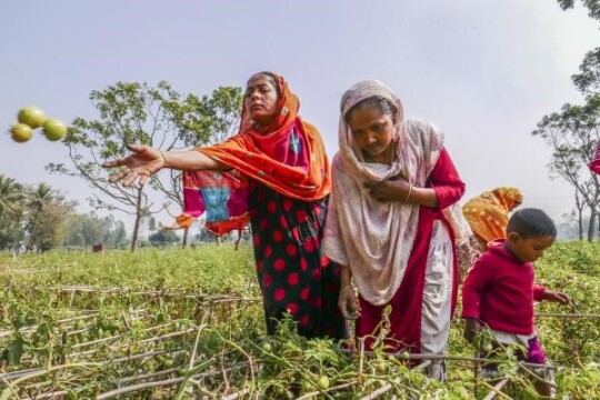 'সরকারি নির্দেশনা অনুসারে গার্মেন্টসে ছুটি তিনদিনই থাকবে'