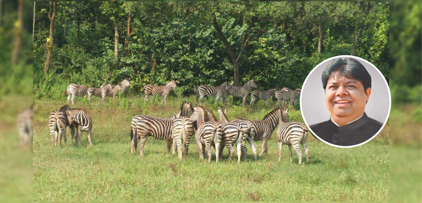 ‘একে অপরকে ফাঁসাতে সাফারি পার্কে জেব্রা হত্যা’