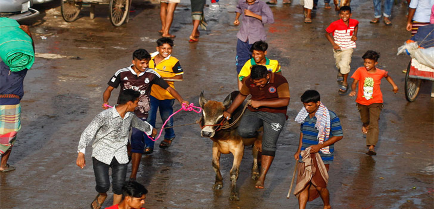 ঈদের জামাত শেষে নগরীর পথে পথে পশু কোরবানি