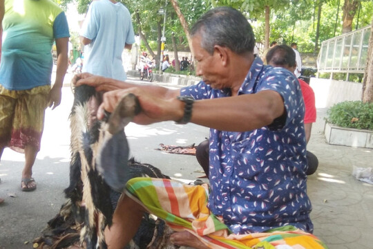 বিনামূল্যেও খাসীর চামড়া নিচ্ছে না কেউ