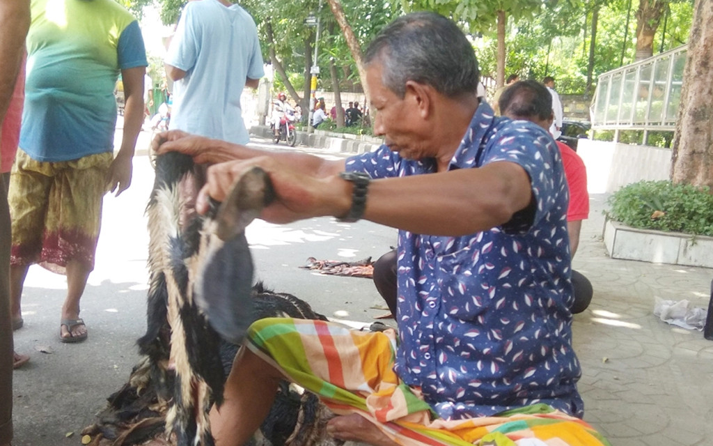 বিনামূল্যেও খাসীর চামড়া নিচ্ছে না কেউ