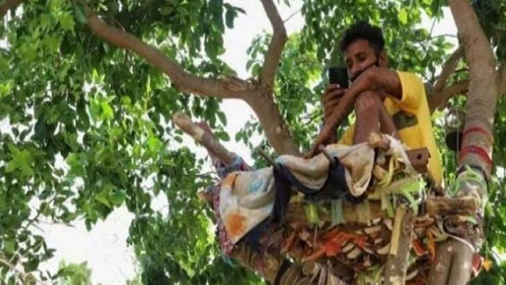 গাছের মগডালেই করোনা আইসোলেশন সেন্টার!
