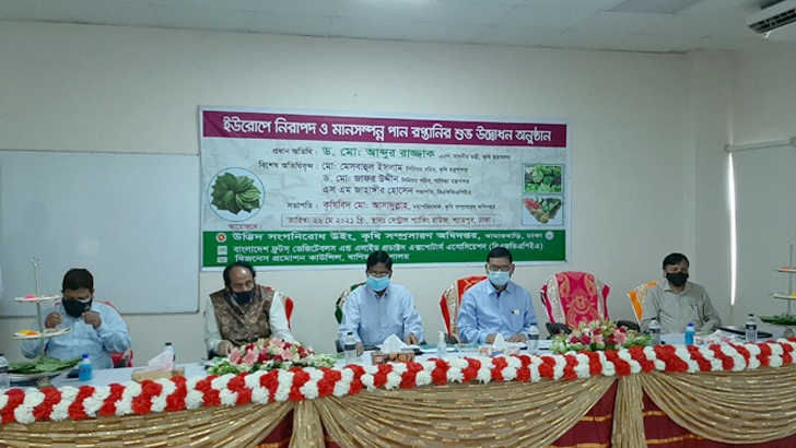 সাড়ে ৬ বছর পর ফের ইউরোপে পান রপ্তানি শুরু