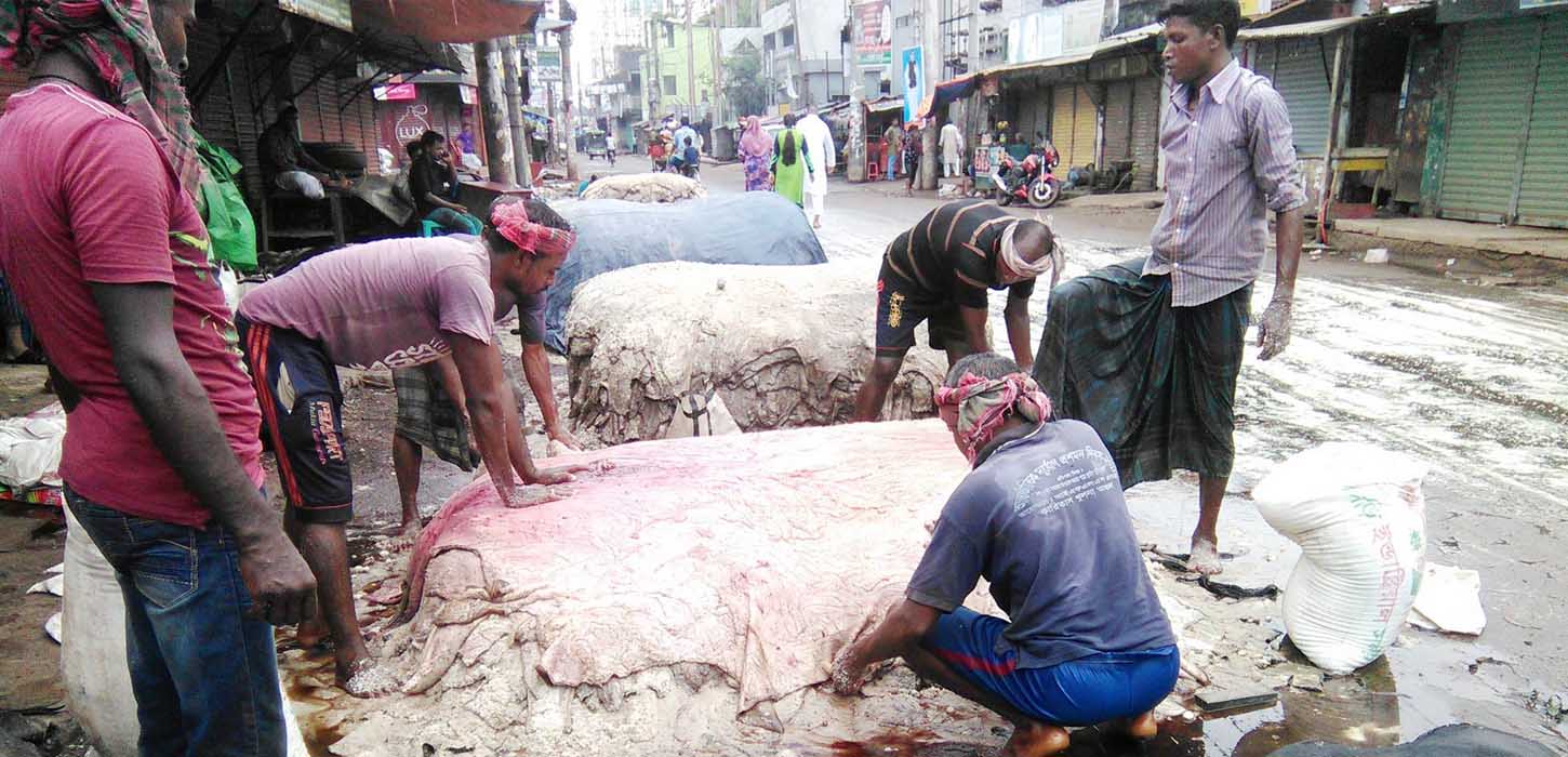 কাঁচা চামড়া কিনতে ব্যাংকের ৫৮৩ কোটি টাকার ঋণ