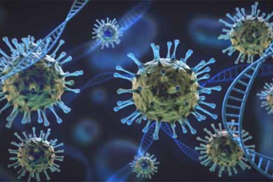 দেশে করোনার নাইজেরিয়ার ভ্যারিয়েন্ট শনাক্ত !