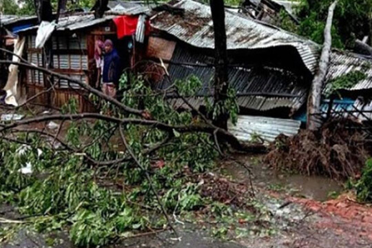 ঘূর্ণিঝড় ইয়াস’র প্রভাবে ভোলায় গাছচাপায় নিহত ১