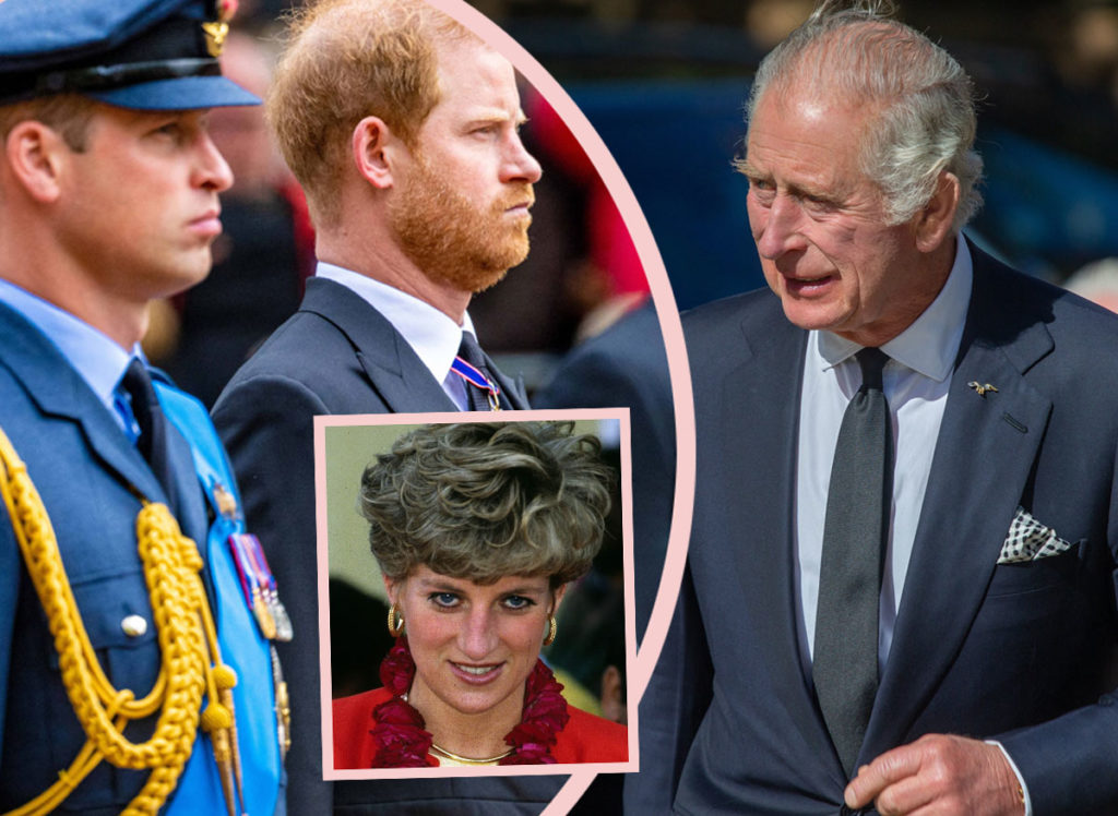 william-harry-diana-funeral-procession